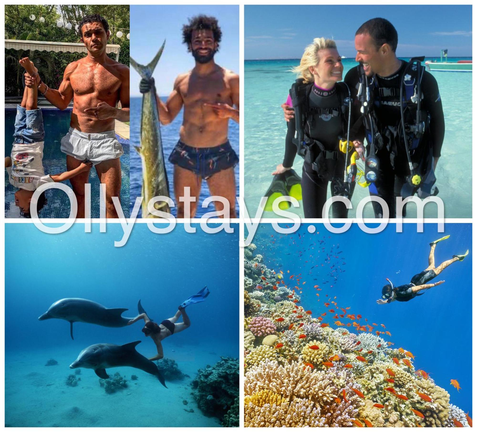 Ollystays Mangroovy 1 Bedroom Beach And Pool Free Access Hurghada Bagian luar foto