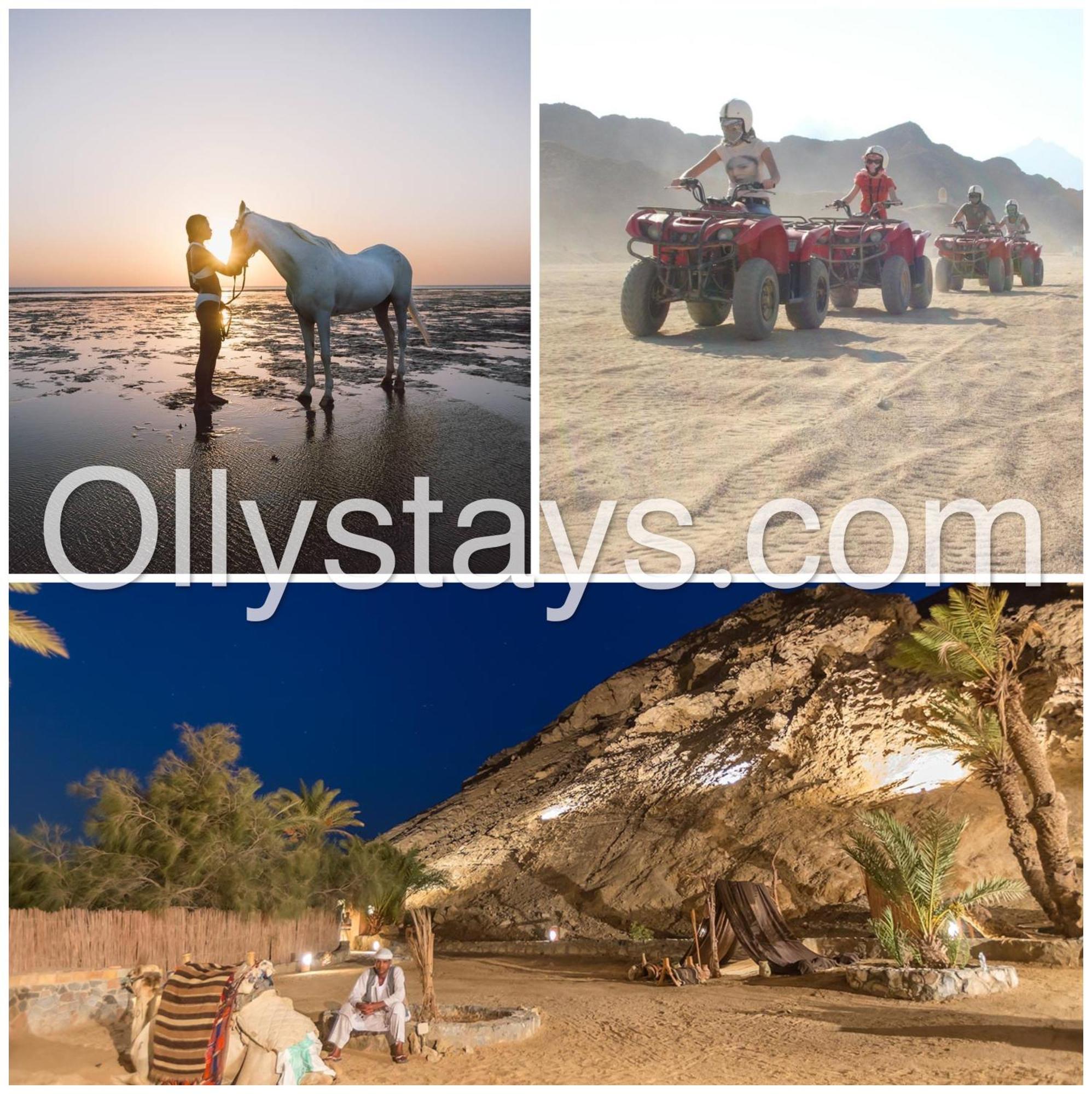 Ollystays Mangroovy 1 Bedroom Beach And Pool Free Access Hurghada Bagian luar foto
